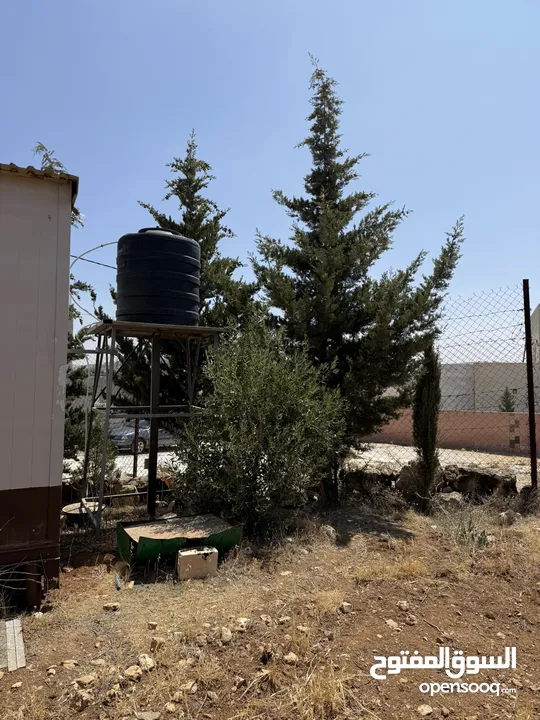 مزرعة للبيع