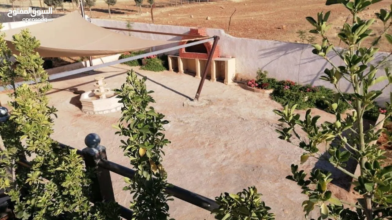 احجز معنا في مزرعه ماريا (جرش) احلا اطلاله بانوراميه خلابه على جبال سوف والسلط وعمان في منطقة هادئة