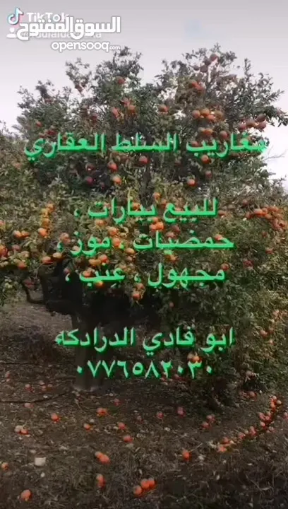 دنم و 44 م مقابل مضافة الدرادكة دنم ب القمة عالي