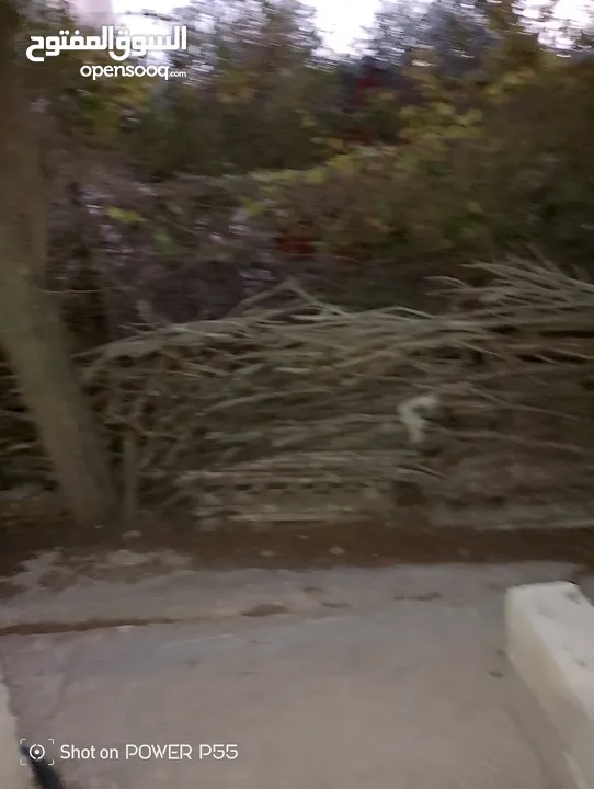 تشكيلة حطب للبيع