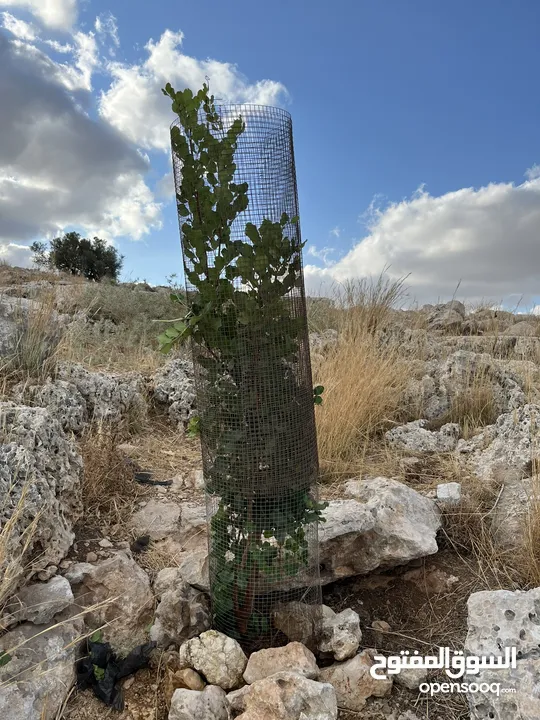 قطعة أرض للبيع في ديرقديس