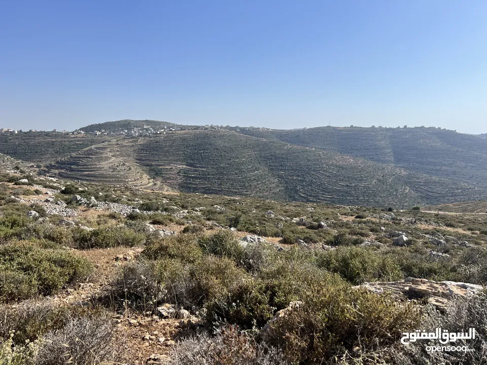 ارض مميزة للبيع في تلال عبوين وسنجل (تلال غرابة)