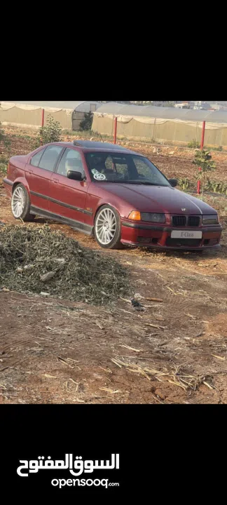 ,e36Bmw cobra