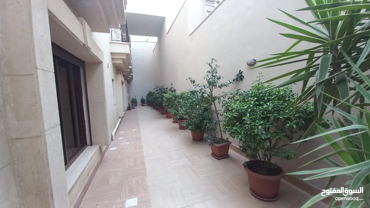 semi furnished apartment for rent abdoun  ( Property 39066 )-174813181