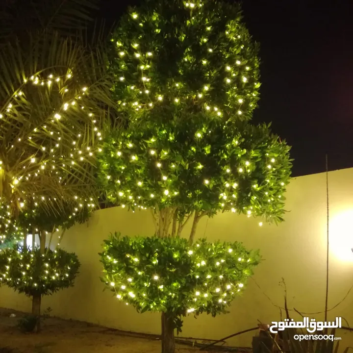 National wedding lighting decoration تأجير إضاءة ديكور الأعراس الوطنية