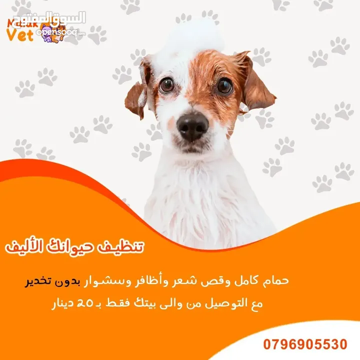 خدمات بيطرية متكاملة للحيوانات الاليفة