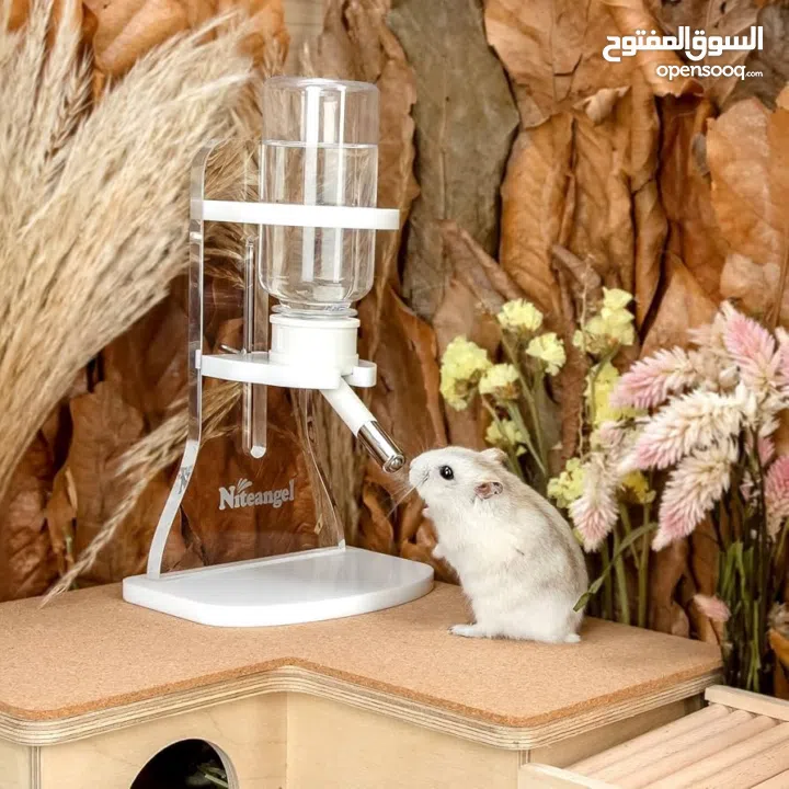 Hamster wheel and water bottle