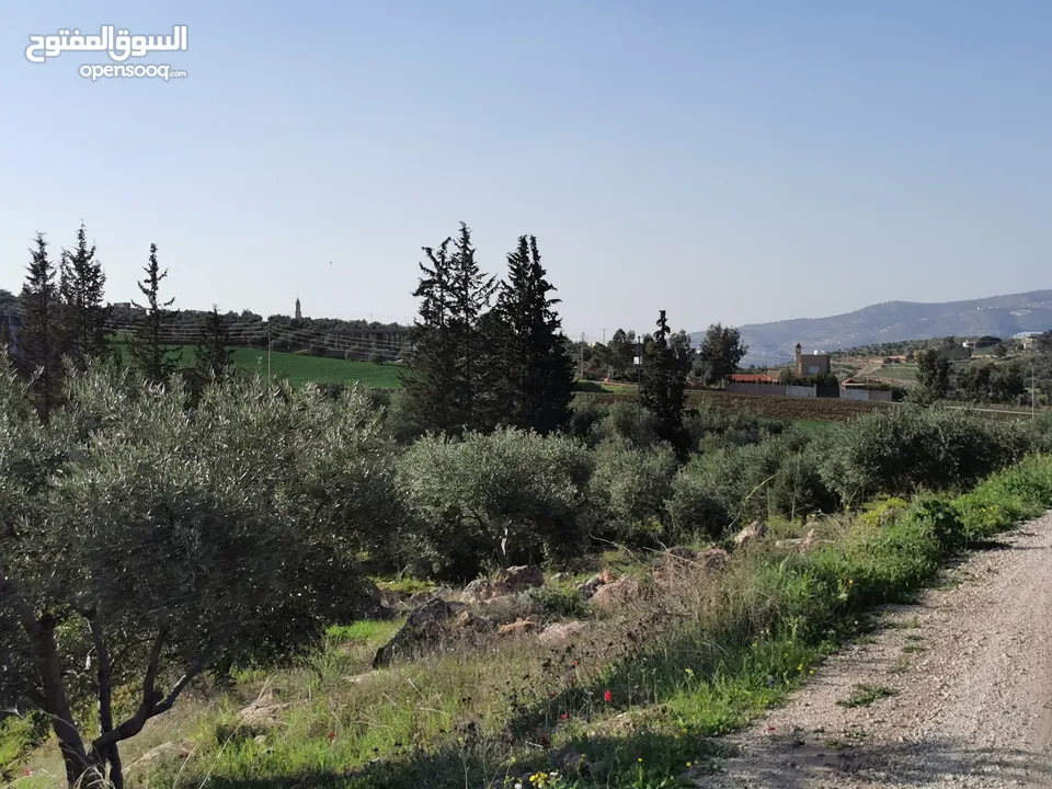 قطعة أرض مميزة في السلط الصبيحي سيحان بسعر مغري بمنطقة جميلة