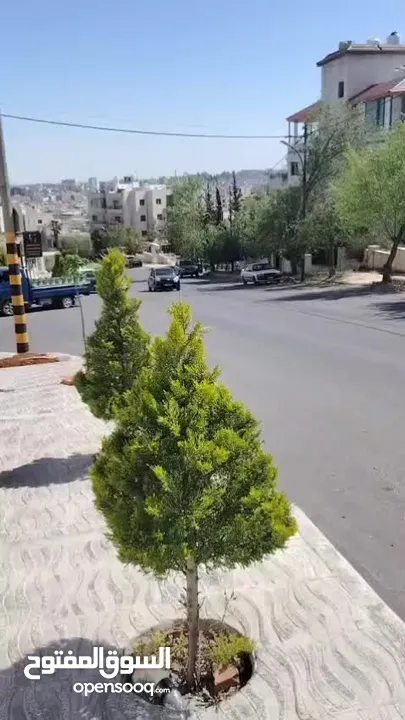 شقة فاخرة جداً للايجار . شاهد الفيديو الشقة مع الصور