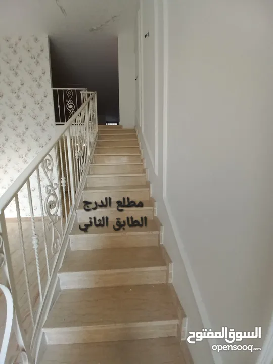 محمد ابو عبية