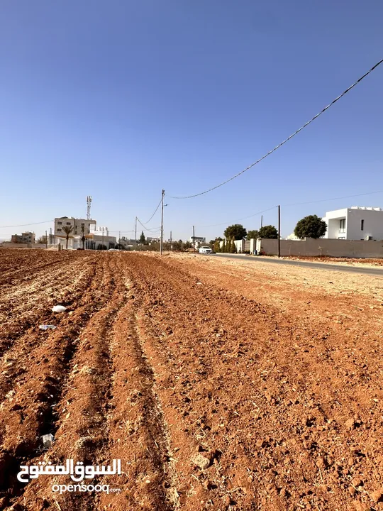 ارض مميزة بسعر مغري اليادودة الفريط