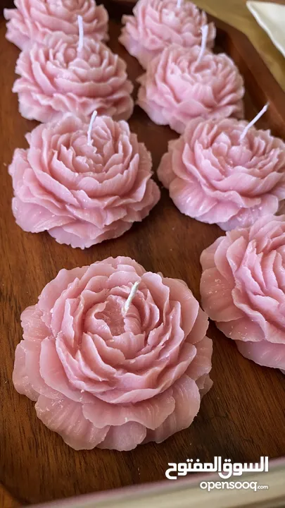 توزيعات هدايا