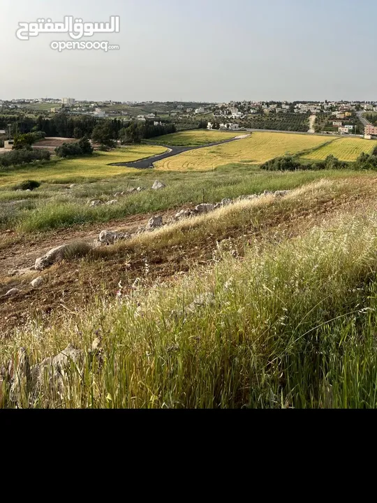 ارض سكنية  للبيع طريق المطار بالقرب من فلل جرين لاند بمساحة ( 1801 م ) في ناعور