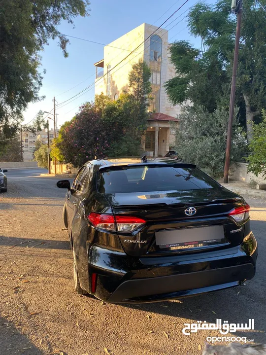 كورولا 2020 هايبرد فحص كامل