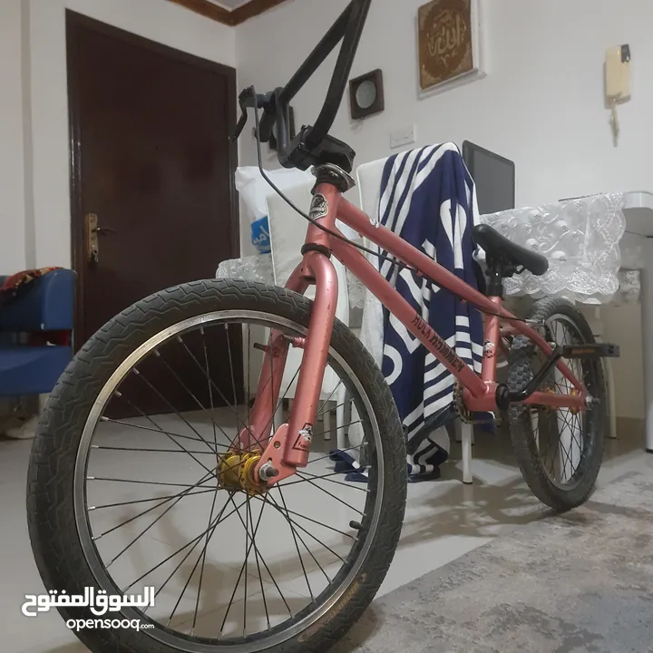 قاري bmx جديد