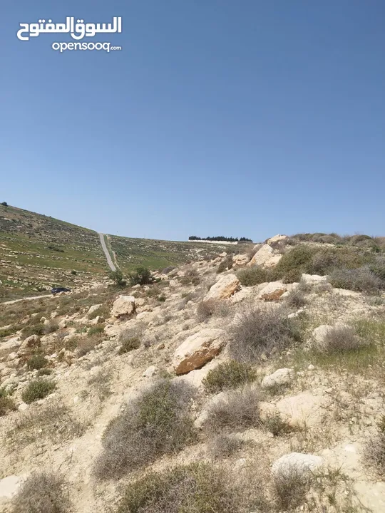 ارض للبيع ( ام رمانه) قريبه جدا من شارع الاردن حيث تبعد عن بن معروف 6 دقائق فقط