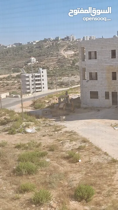 مطلوب مدربة دبكة وفلكلور شعبي في رام الله