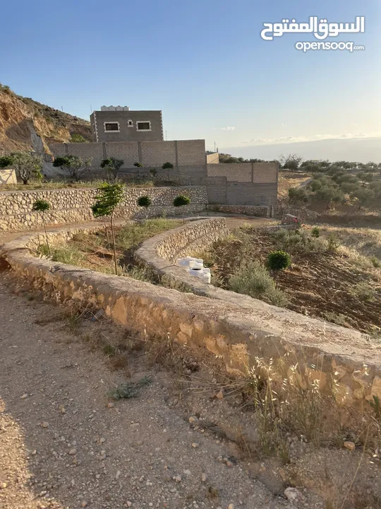مزرعة في مغاريب السلط من المالك مباشرة