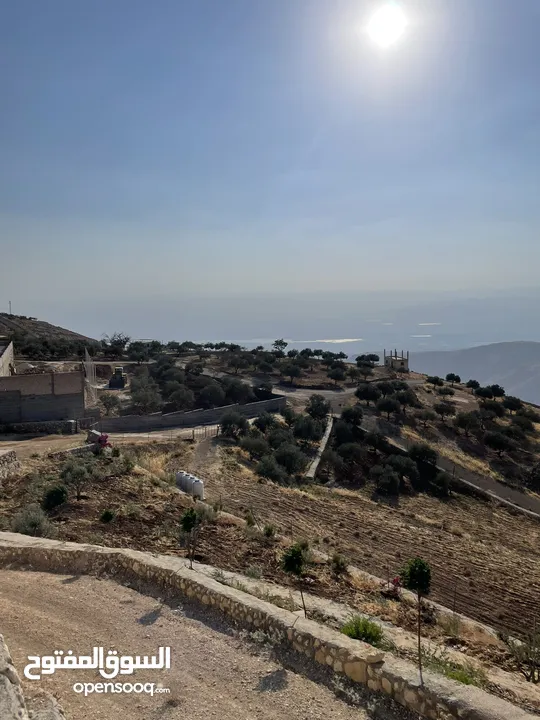 مزرعة في مغاريب السلط من المالك مباشرة