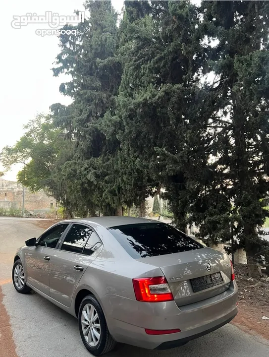 سكودآ اوكتاڨا 2013