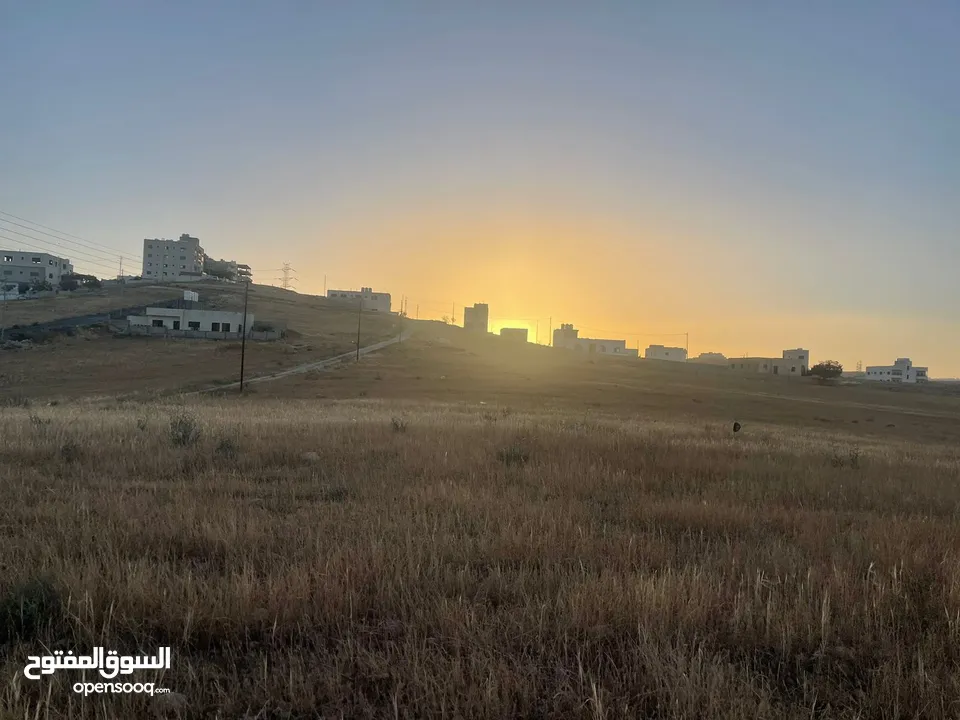 ارض للبيع في طبربور مستوية  بقوشان مستقل