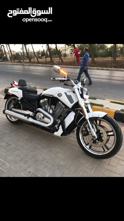 V-ROD /1250cc بحاله ممتازه