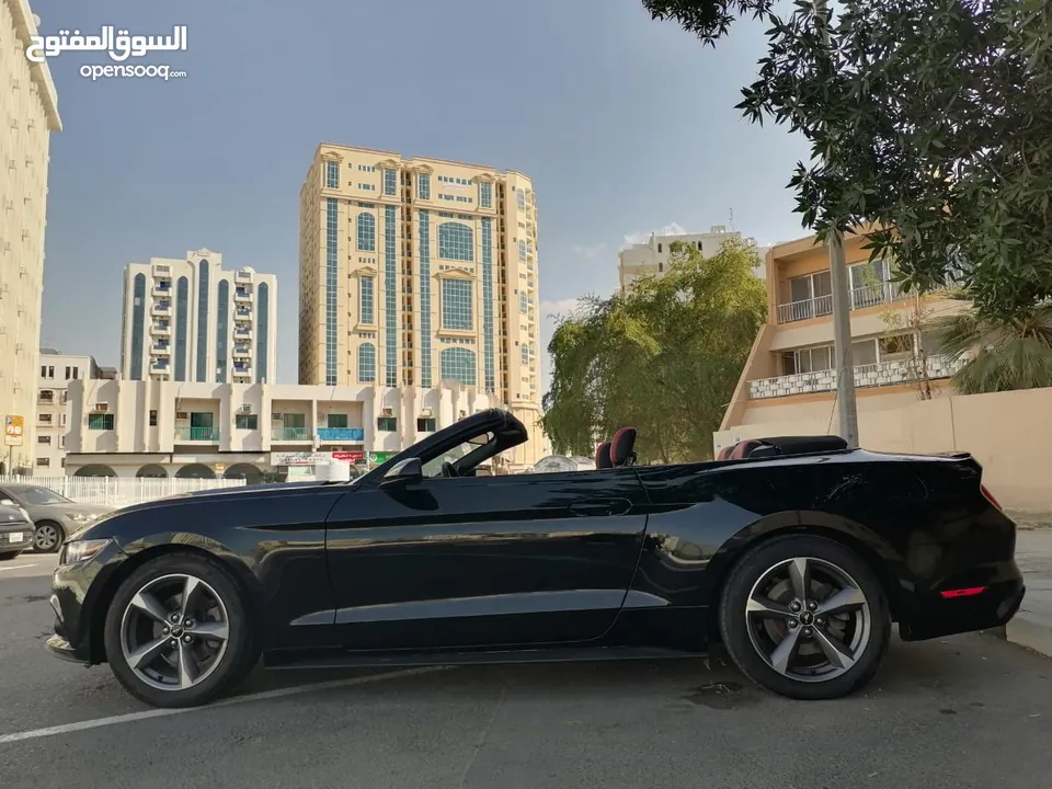 فورد موستنج ستة سلندر 2017 كشف Ford Mustang V6 Convertible