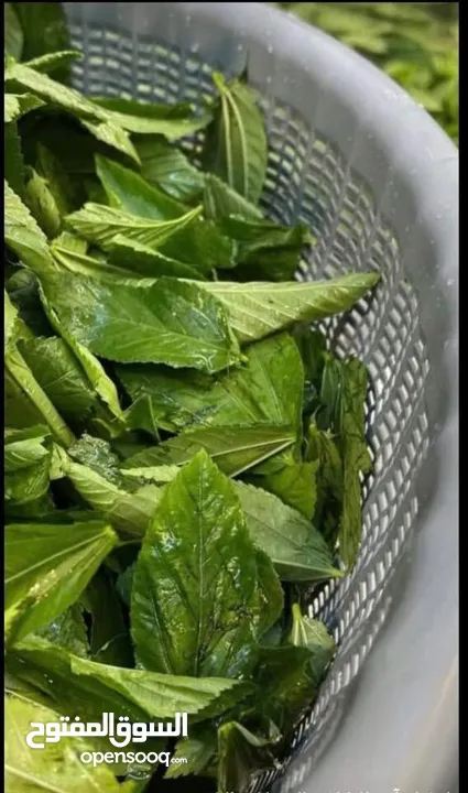 اكلات شعبيه مطبخ بيت الكرم