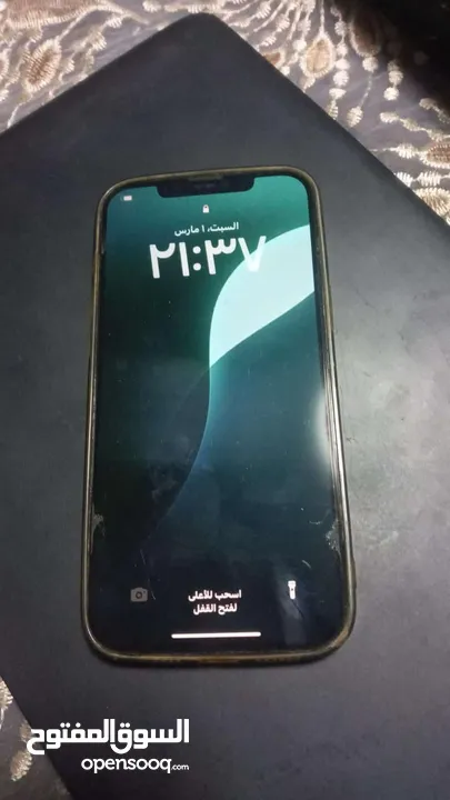 12 pro max