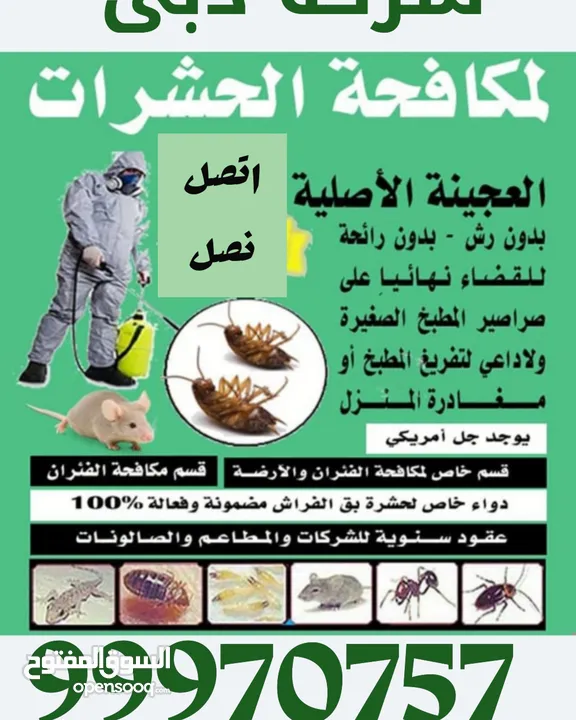 شركة دبي لمكافحة الحشرات بالكويت