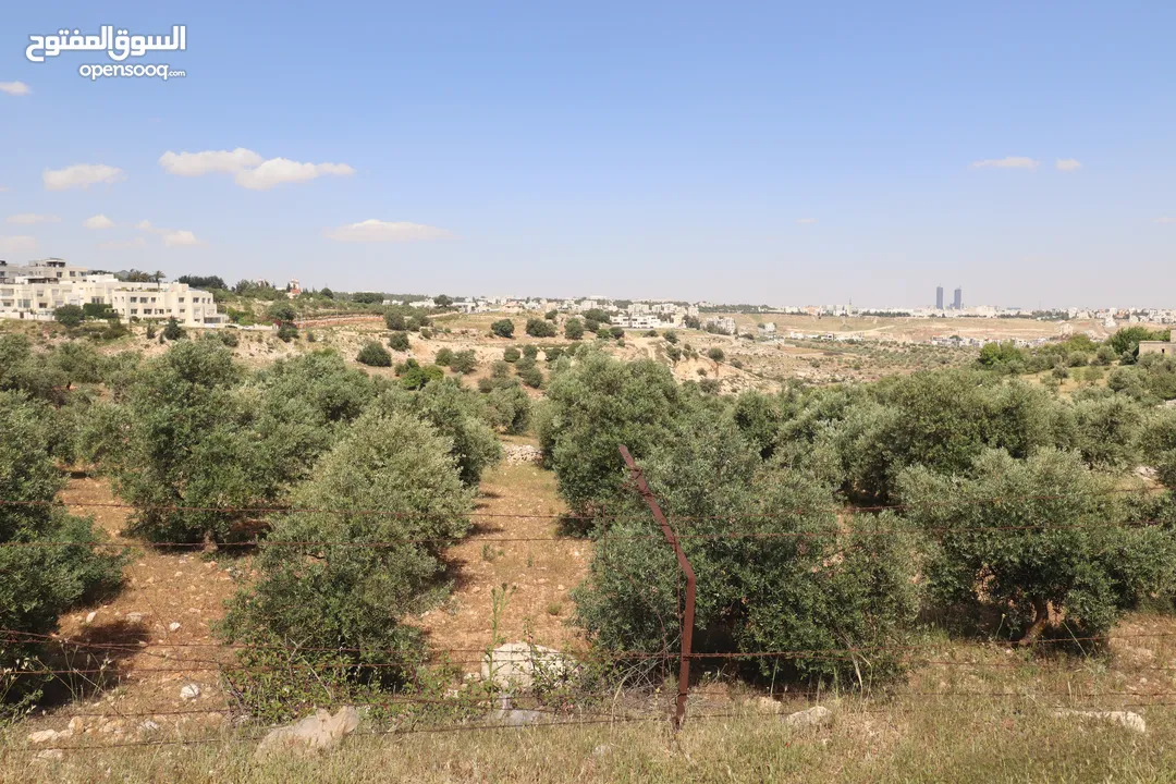 (1)ارض للبيع في اجمل مناطق الأردن الفحيص _حوض أبو ركبه _بالقرب من دابوق