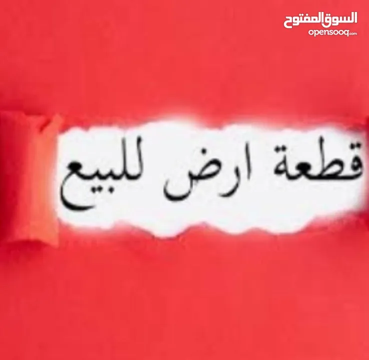 أرض بسعر لقطه