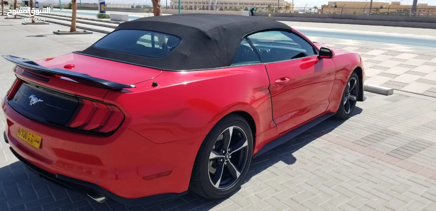 Ford Mustang convertible