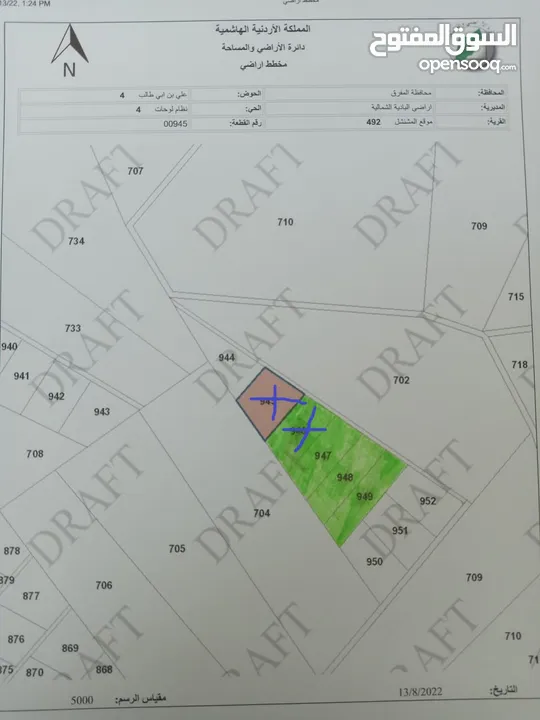 10دونم بالمشنشل /المفرق ب3000 الاف شامل الرسوم من مالكها