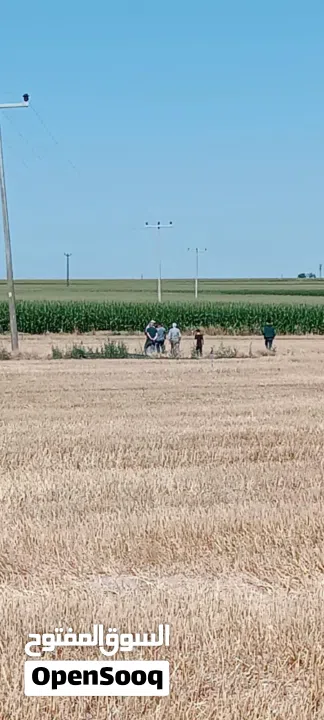 نِيغده – بور (Niğde – Bor) من أجمل وأخصب المناطق الزراعية في تركيا للبيع 10 ألف دونم ارض زراعية