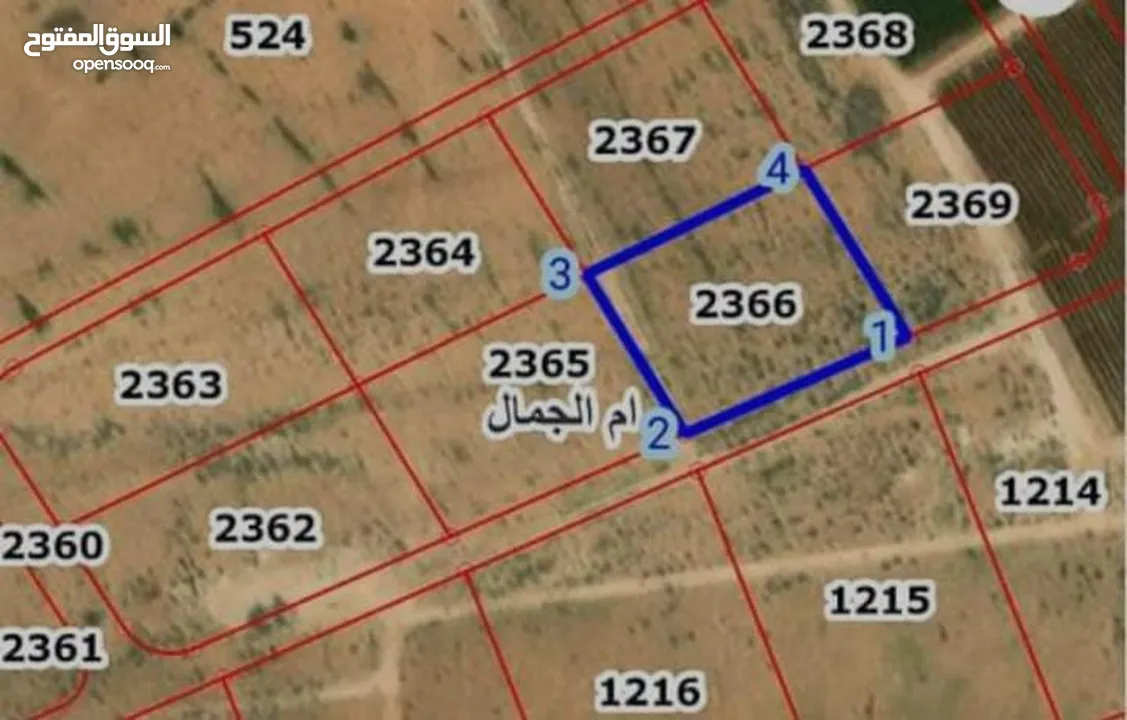 رقم 201-2  دونم ارض بام الجمال بالمفرق  للبيع ذات موقع مخدوم و اطلالة مميزة - المفرق