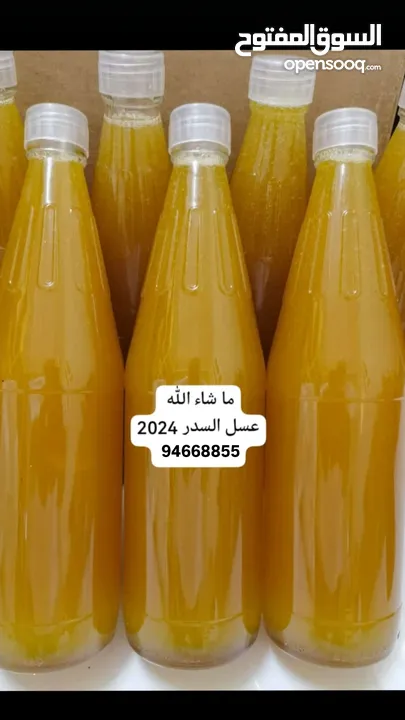 عسل سدر 2024