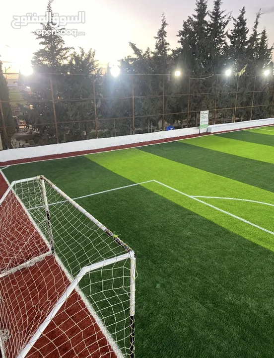 عشب ملاعب / عشب حدائق / عشب مدارس / عشب مزارع / عشب صناعي/ نجيل / تارتان Playground grass
