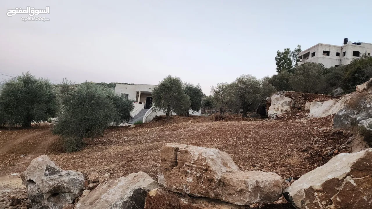 كوبر / أرض للبيع مساحه 750 متر مشجره بالزبتون