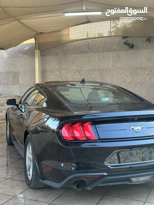 Ford Mustang 2022 Ecoboost 2.3L Manual Transmission