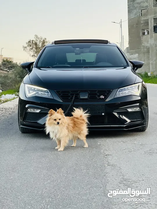 سيات ليون FR 2020/19 فل