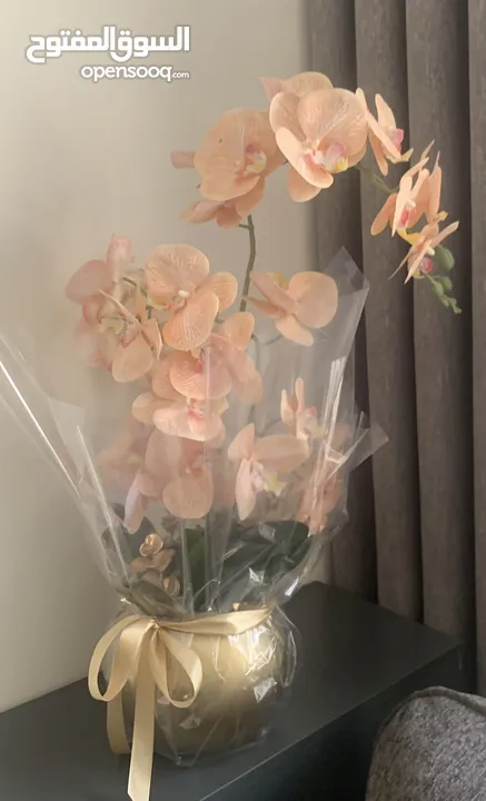 متفرقه ديكويه