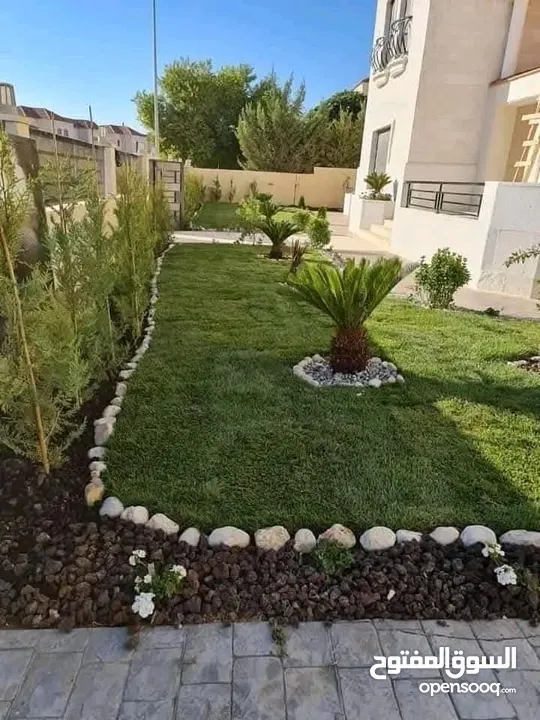 يتوفر جميع أنواع الاشجار  حمضيات لوزيات شجر زينه نسعد بخدمتكم