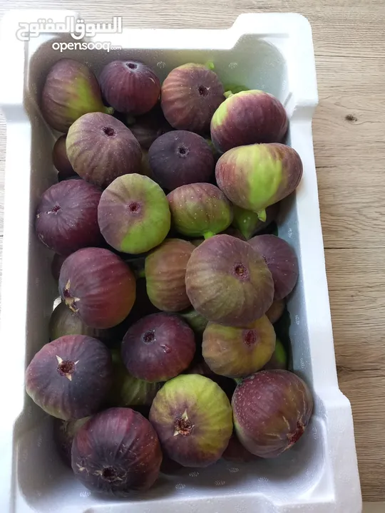 Figs and vegetables wholesale only
