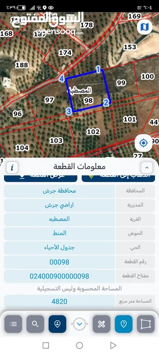 5 دنمات مطلة شبة مستوية مزروعة زيتون