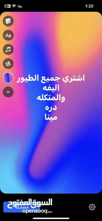 اشتري جميع طيور اليفه او وحشيه دره