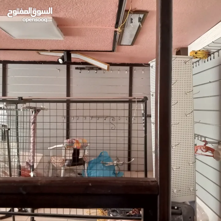 محل تجاري ابو نصير