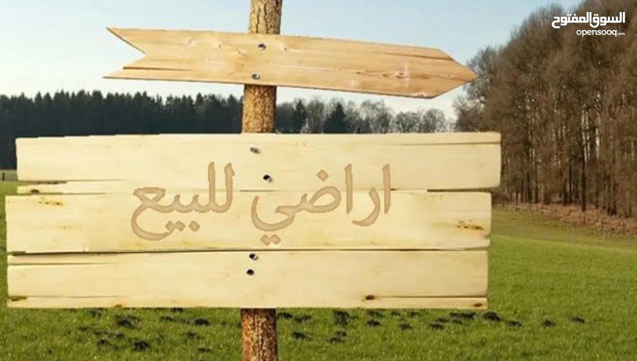 استثمر في عصيره الشماليه بدفعه بسيطه وشيكات وبسعر مغري او كاش قطع اراضي مميزه جدا واطلاله جميله
