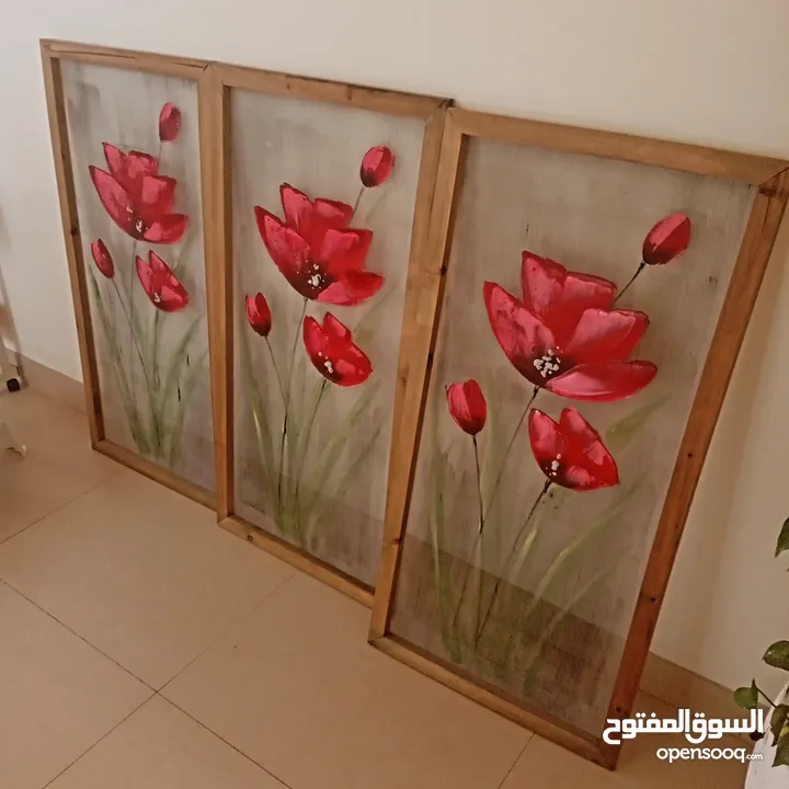 مجموعه صور احجام مختلفه