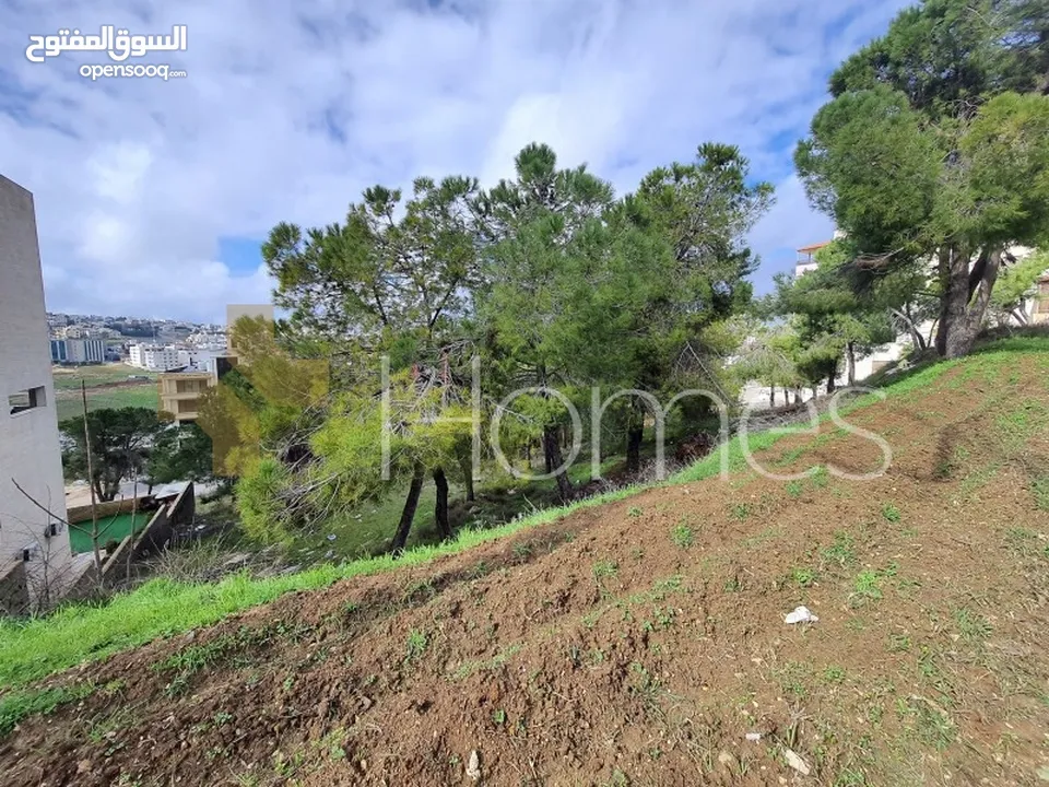 ارض بسعر مميز في منطقة رجم عميش، بمساحة998م